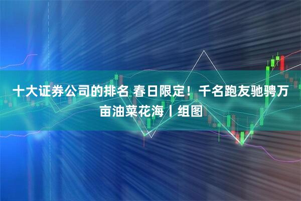 十大证券公司的排名 春日限定！千名跑友驰骋万亩油菜花海丨组图